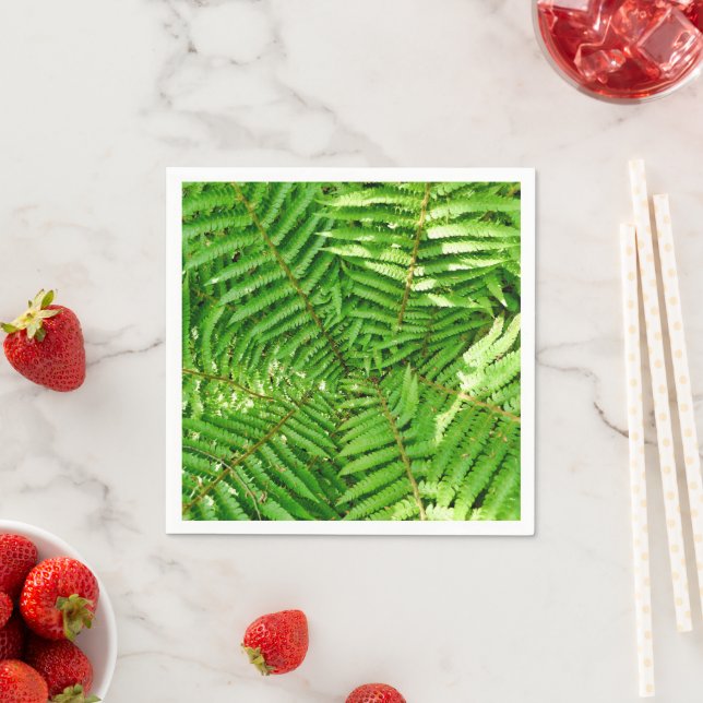 Woodland Ferns Pappra Napkins Pappersservett (Insitu)