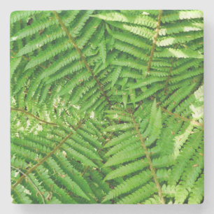 Woodland Ferns Stenunderlägg