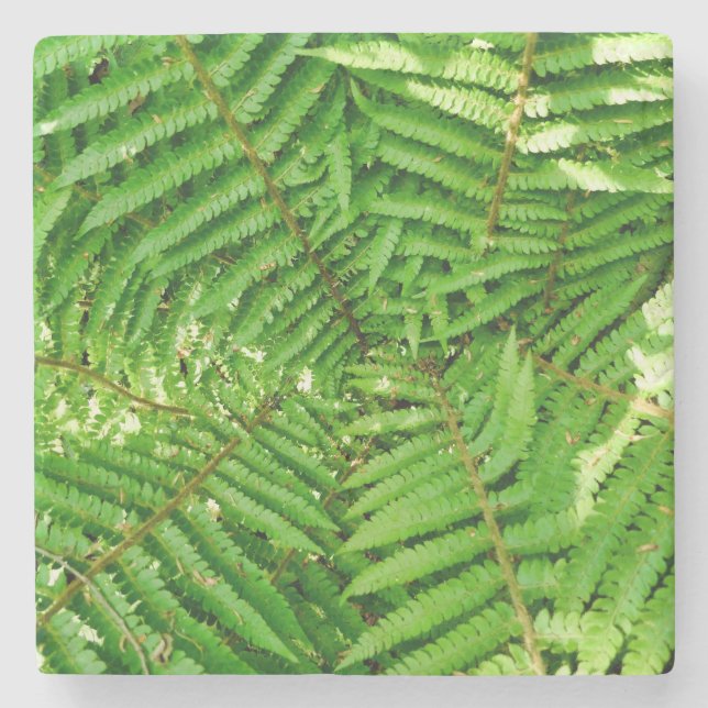 Woodland Ferns Stenunderlägg (Framsidan)