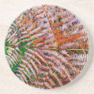 Woodland Ferns Underlägg