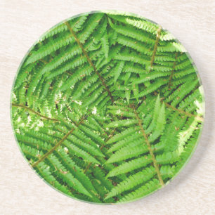 Woodland Ferns Underlägg