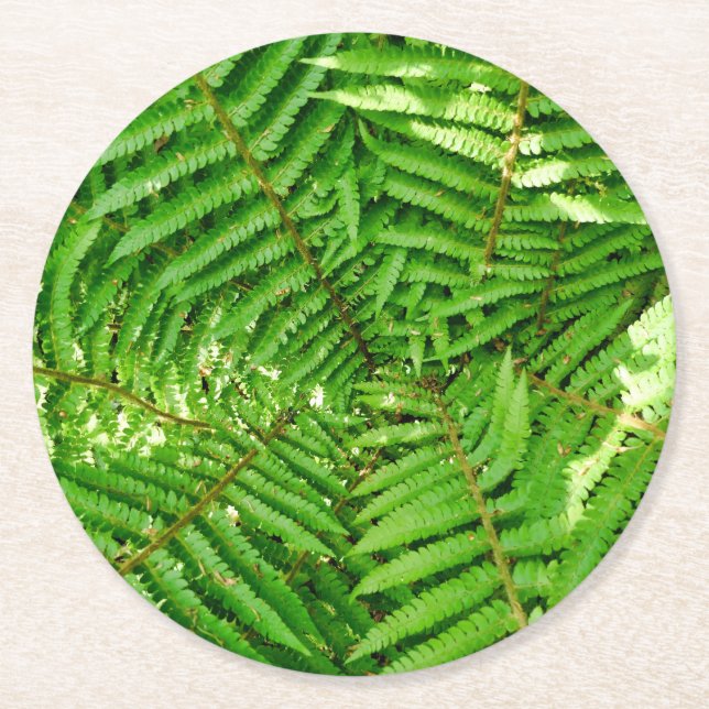 Woodland Ferns Underlägg Papper Rund (Framsidan)