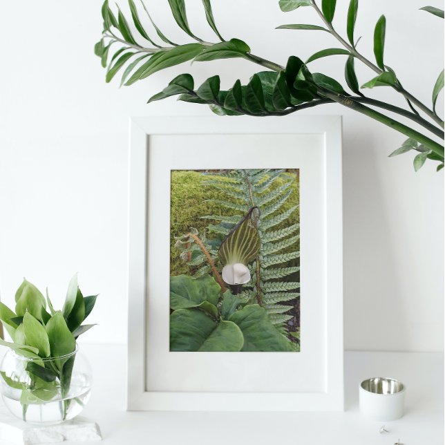 Woodland Flora Botanical Fototryck (In Situ Framed)
