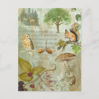 Woodland Forest Wildlife Squirrel, Uggla, Autumnal Vykort