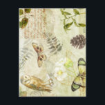 Woodland Forest Wildlife Uggla Butterfly Nature Vykort<br><div class="desc">Woodland Forest Wildlife Uggla Butterfly</div>