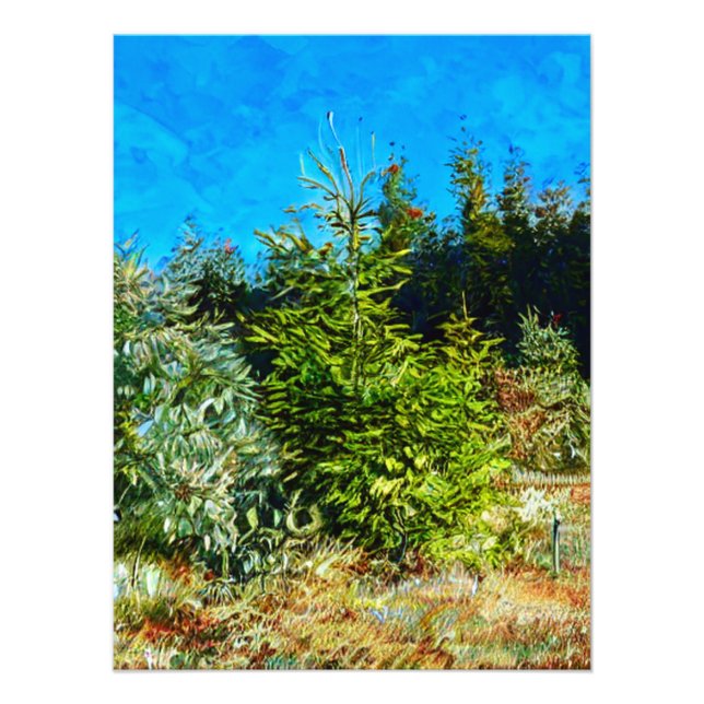 WOODLAND FOTOTRYCK (Framsidan)