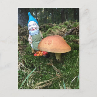 Woodland Gnome Vykort