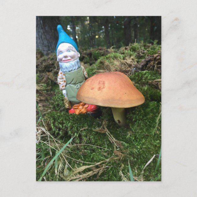 Woodland Gnome Vykort (Framsida)