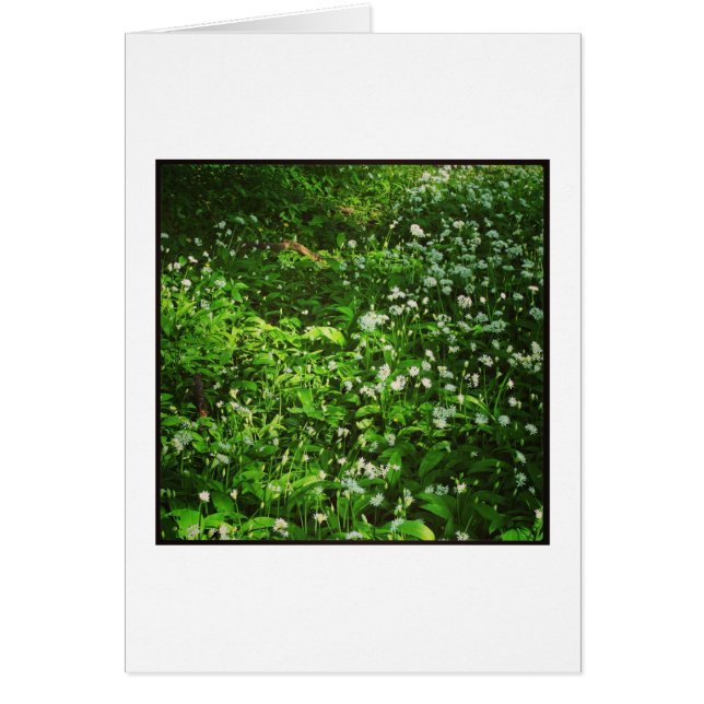 Woodland Golv Hälsningskort (Framsidan)