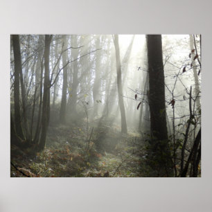Woodland morse Mist Poster
