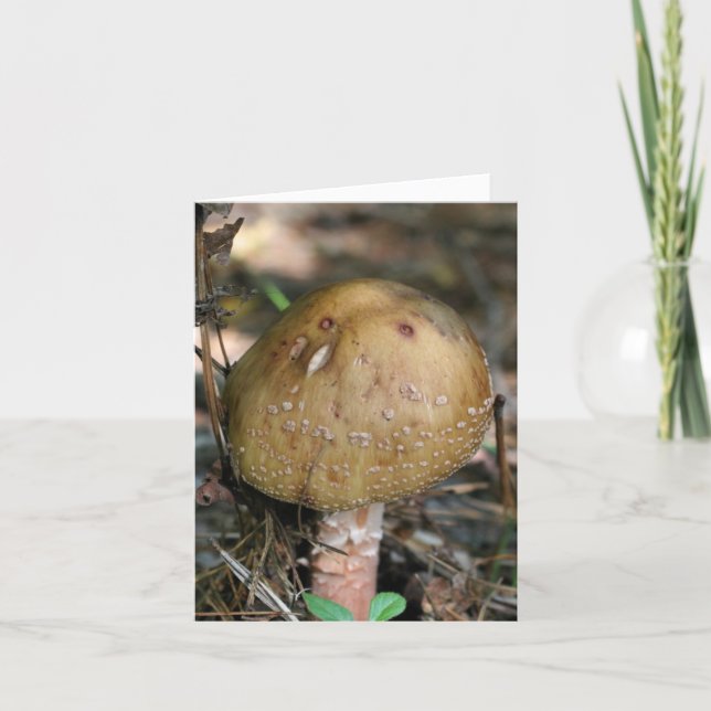 Woodland Mushroom Nature Photography  Anteckningskort (Framsida)