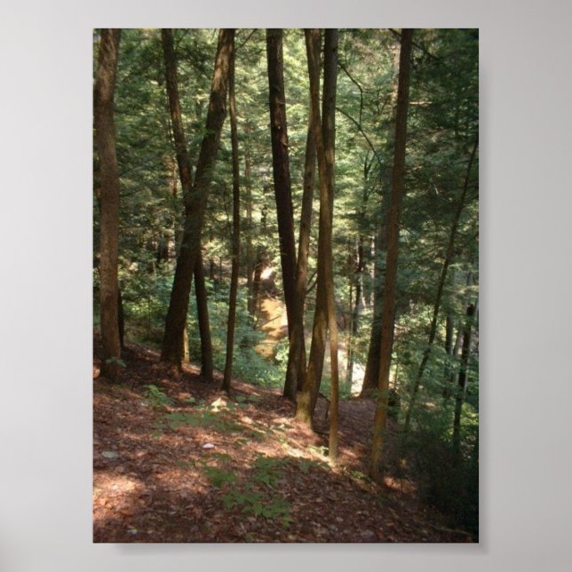 Woodland Paradise Poster (Framsidan)