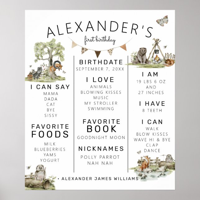 Woodland Picnic | Skog 1:a födelsedagsmomsten Poster (Framsidan)