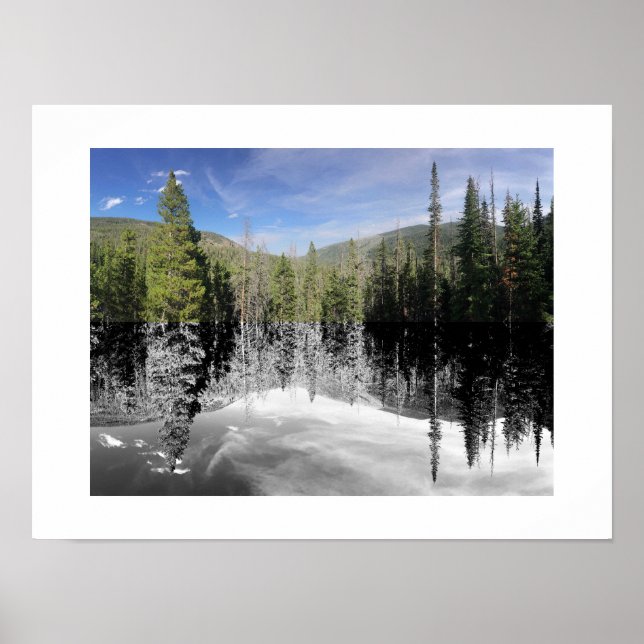 Woodland Reflection Photography Poster (Framsidan)