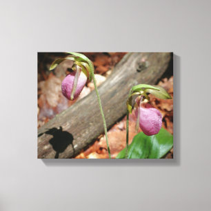 Woodland Rosa Vild Dam Slipper Orchid Flowers Canvastryck