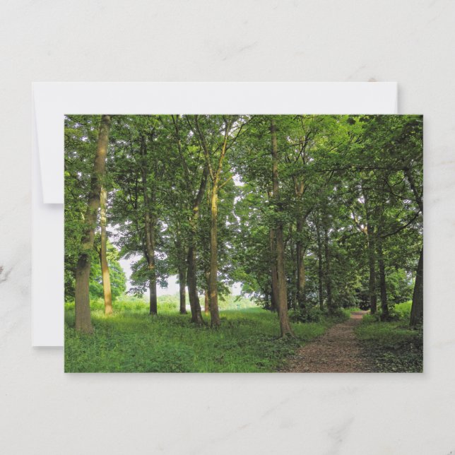 Woodland Scene. Blackweir Skogen, Cardiff Kort (Framsida)