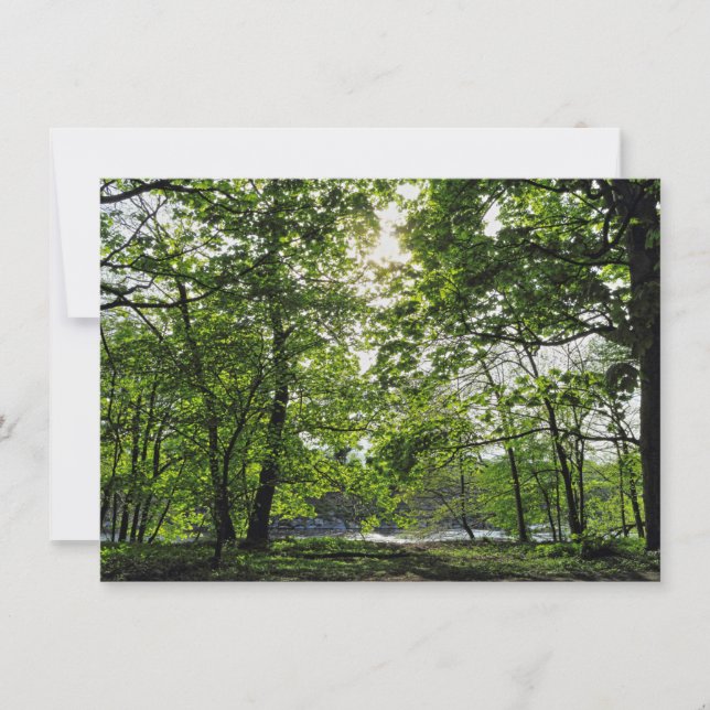 Woodland Scene. Blackweir Skogen, Cardiff Kort (Framsida)