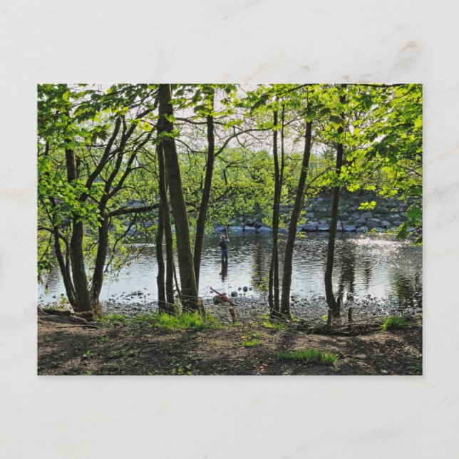 Woodland Scene. Blackweir Skogen, Cardiff Postcard Vykort (Framsida)