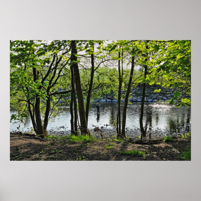 Woodland Scene. Blackweir Skogen, Cardiff Poster (Framsidan)