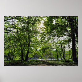 Woodland Scene. Blackweir Skogen, Cardiff Poster