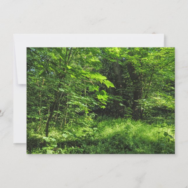 Woodland Scene Kort (Framsida)