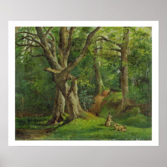 Woodland Scene med kaniner, 1862 (olja på kanvas) Poster (Framsidan)