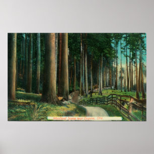 Woodland SceneEugene, ELLER Poster