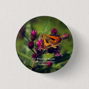 Woodland Skipper-fjäril Knapp