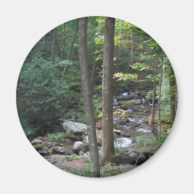 Woodland Stream Magnet (Framsidan)