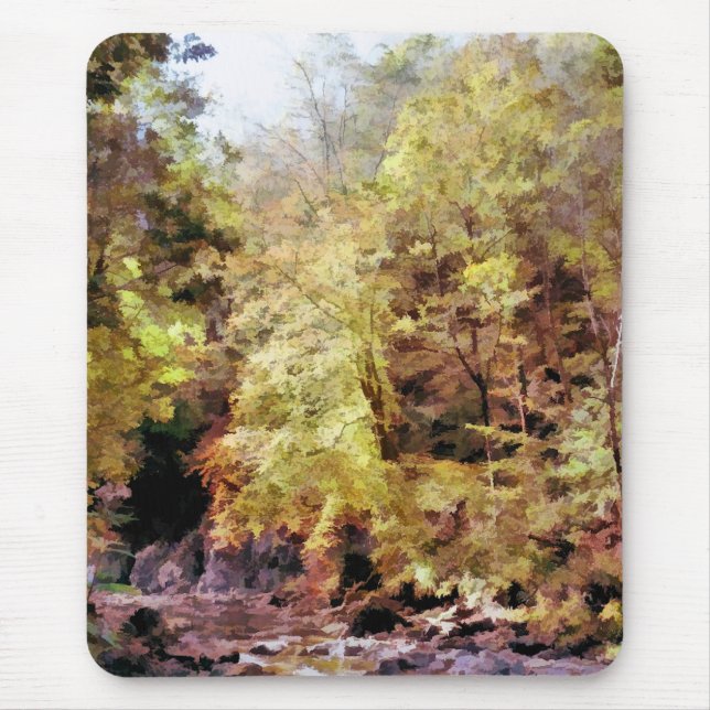 WOODLAND STREAM MUSMATTA (Framsidan)
