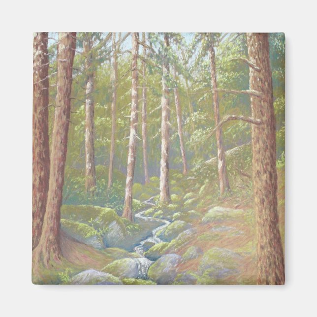 Woodland Stream, Peak District in Pastel Magnet (Framsidan)