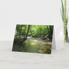 "Woodland Stream" Tack Kort