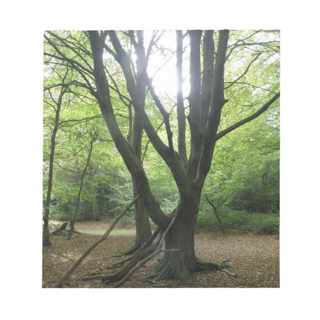 Woodland Sunshine Anteckningsblock (Framsida)