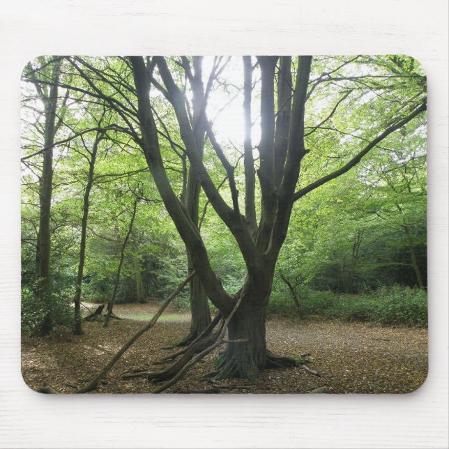 Woodland Sunshine Mousepad Musmatta (Framsidan)