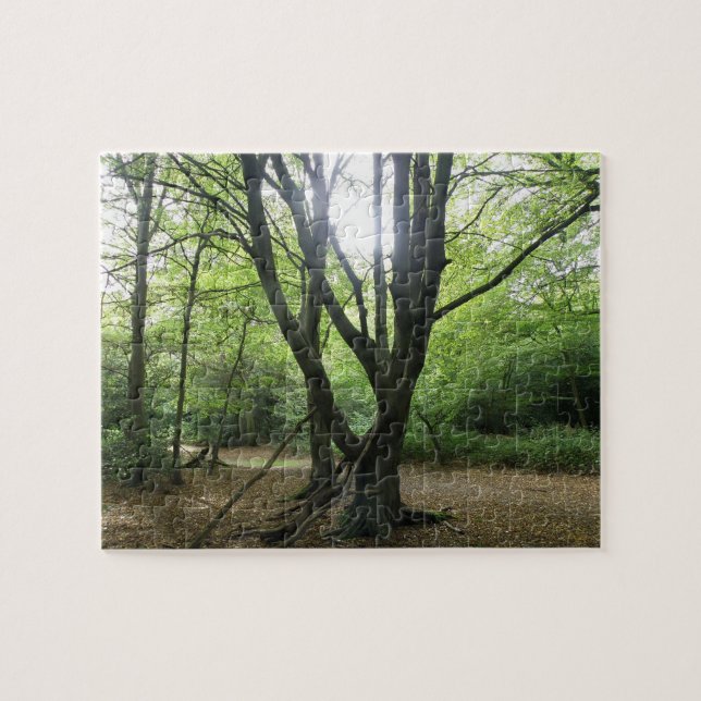 Woodland Sunshine Puzzle Pussel (Horisontell)