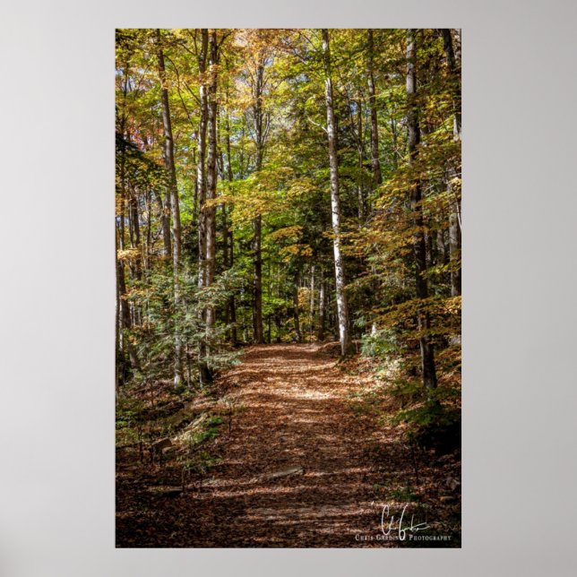Woodland Trail Poster (Framsidan)