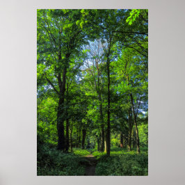 Woodland Väg. Blackweir Skogen, Cardiff, Wales Poster