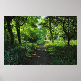 Woodland Väg. Blackweir Skogen, Cardiff, Wales Poster
