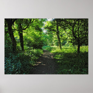 Woodland Väg. Blackweir Skogen, Cardiff, Wales Poster