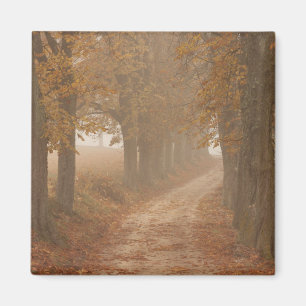Woodland Väg Led by Autumn Träd Photo Magnet