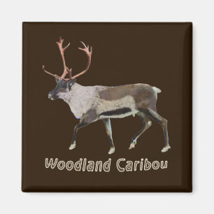 Woodland Västindiou Magnet