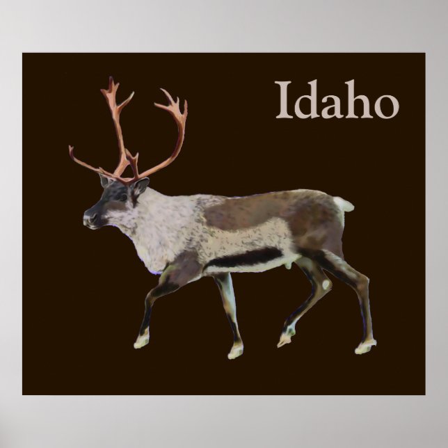 Woodland Västindiou Poster (Framsidan)