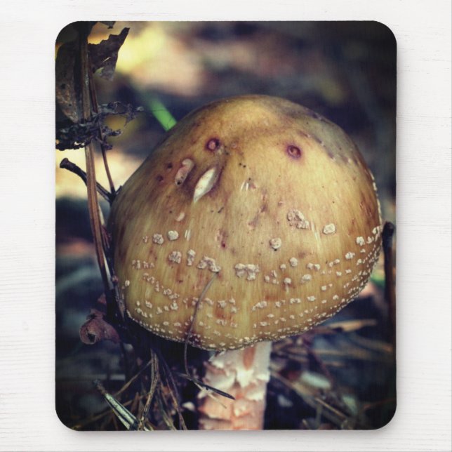 Woodland Vild Mushroom Nature Musmatta (Framsidan)