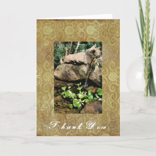 Woodland Waterfall Greeting Card Tack Kort