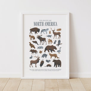 Woodland Wildlife Animals Kids Room Nursery Decor Poster