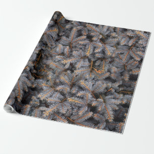 Woodland Winter Blue Spruce Gräs Träd Presentpapper