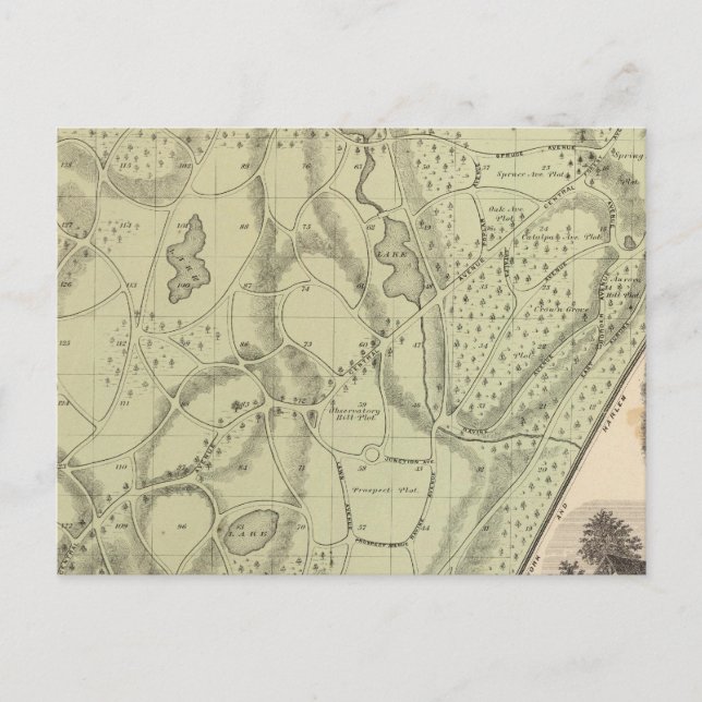 Woodlawn Cemetery Vykort (Framsida)