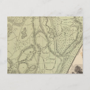 Woodlawn Cemetery Vykort