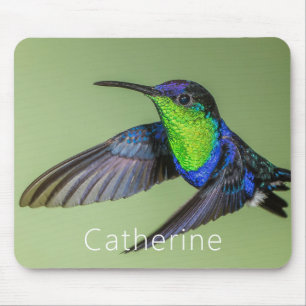 Woodnymph Hummingbird i Personlig Namn Musmatta