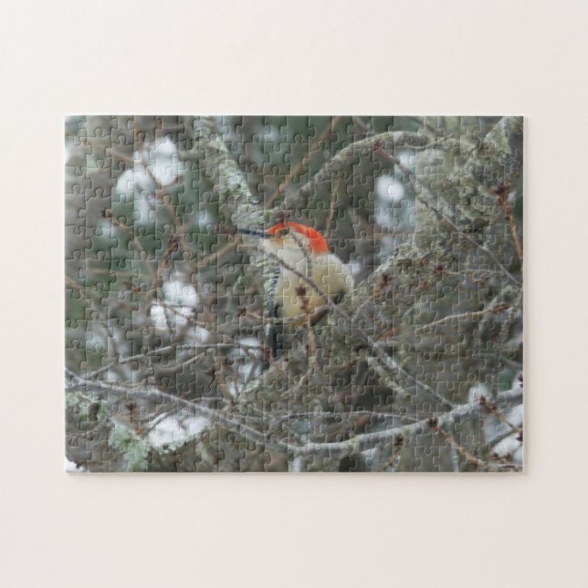Woodpecker | 252 biet fotopussel (Horisontell)